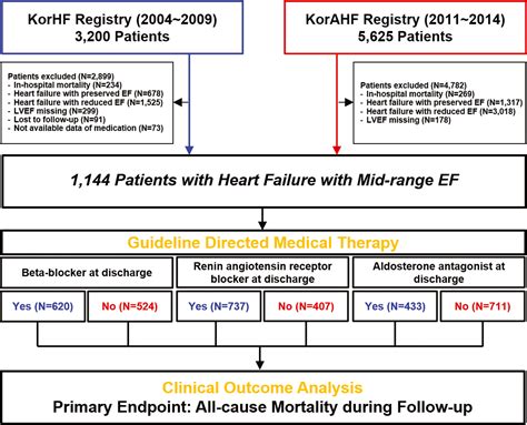 guideline directed therapy heart failure gdmt